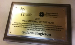 Tree_Steward_award